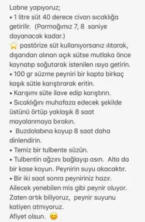 A321A3A7-3C1F-416E-A85E-20D155CFA519.webp