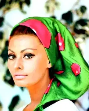 $sophia loren.webp