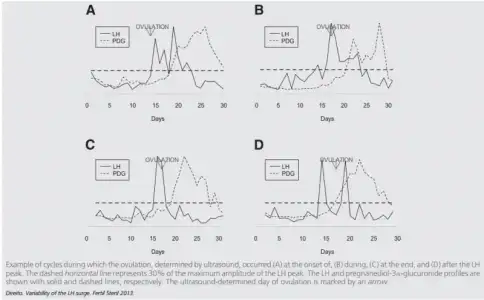 LH_vs_Ovulation.webp