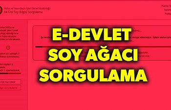 E Devlet'ten soyağacı sorgulama nasıl yapılır ? Adım Adım Soy Sorgulama