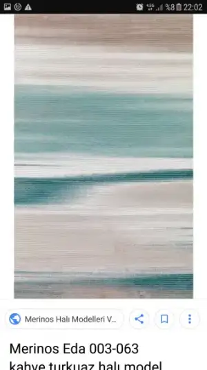 Screenshot_20180304-220246.webp