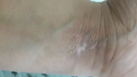 1523878037109-871745282.webp