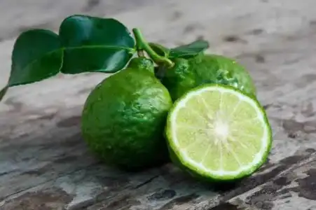 Bergamot Yağı Faydaları ve Bergamot Losyonu Nasıl Kullanılır?