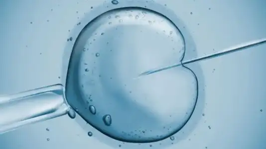 Tüp bebek (IVF) Düşünüyorsanız Mutlaka Göz Atın !