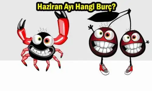 Haziran Ayı Hangi Burç Oluyor? Haziran Ayı Burcu Hangisi ? İkizler - Yengeç