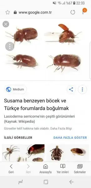 Screenshot_20180804-223345_Samsung Internet.webp