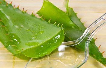 Yaz Sonrası Güneş Lekeleri İçin Aloe Vera Maskesi Tarifi