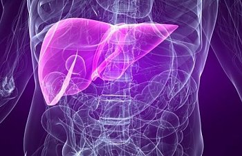 Hepatosteatoz Nedir? Hepatosteatoz Belirtileri Nelerdir?