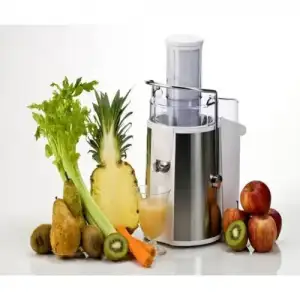 $kenwood katÃ½ meyve sÃ½kacaÃ°Ã½m.webp