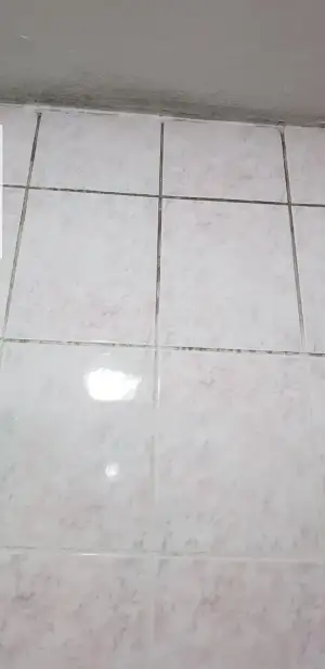 Screenshot_20190105-124445_Gallery.webp
