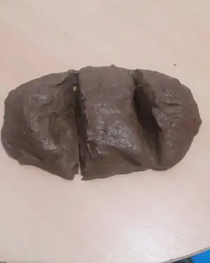 2242405