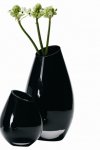 $black-glass-vase.jpg