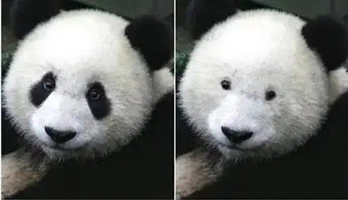 2243434