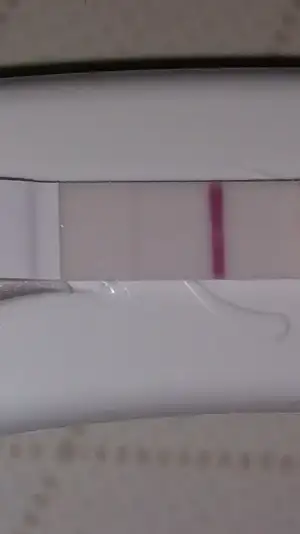 Screenshot_2019-03-29-06-54-35.webp
