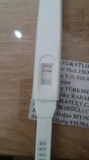 IMG-20190301-WA0008.webp