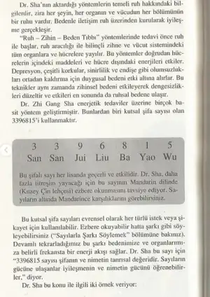 6.webp
