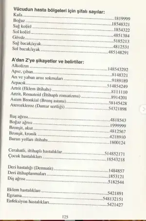 12.webp
