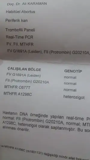 1555440916955-1112205120.webp