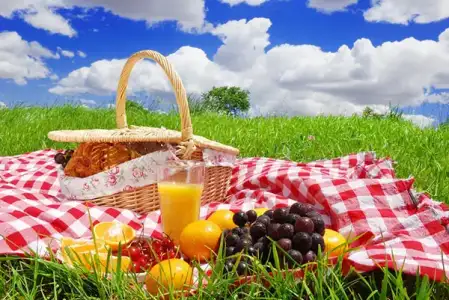 Family-picnic.webp