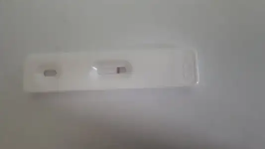 15588504623321256590665173981425.webp
