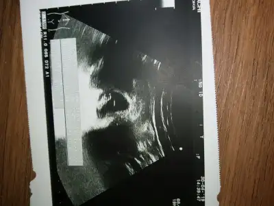 IMG-20190601-WA0002.webp