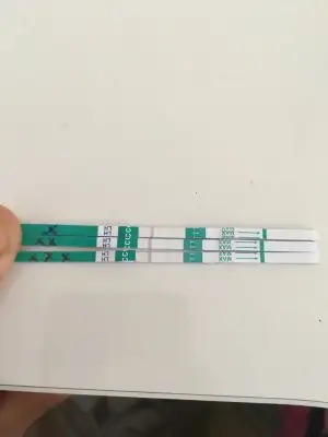 image.webp