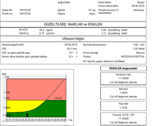 İkili test.png