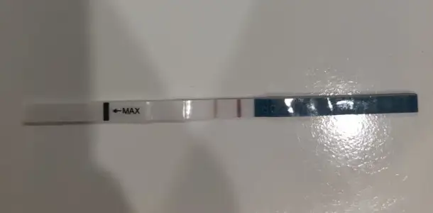 CD2A1754-2F6F-4EB5-BC16-BB9D647A37D2.webp
