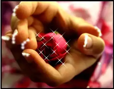 $8a64650dfac2f045066052fuz9[1].webp