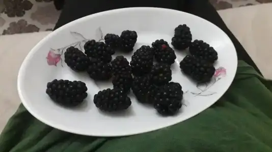 20190803_200303.webp