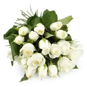 $19-beyaz-gul.webp