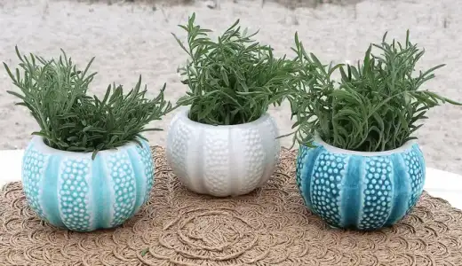 small-urchin-planters-set-of-3-6.webp