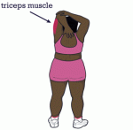 $stretch_tricep.gif