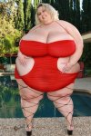 $with-a-fat-girl-swimsuit.jpg