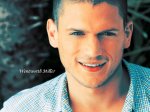 $wentworth-miller-prison-break-4270743-1024-768.jpg