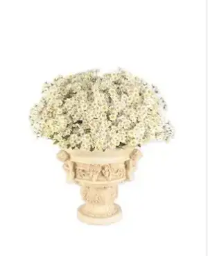 $madame coco papatya.webp
