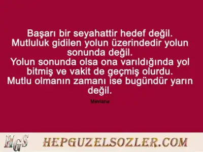wpid-mevlana-sozleri-basari-bir-seyahattir-hedef.webp