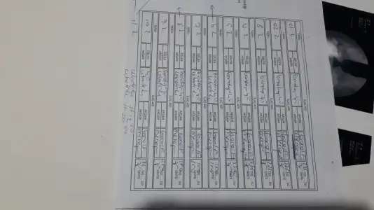 15704060308111384858611.webp
