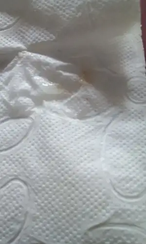 IMG-20191115-WA0008.webp