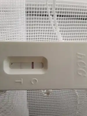 IMG-20191126-WA0005.webp