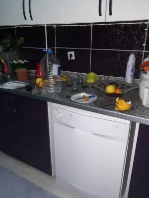 1574974183348411671829.webp