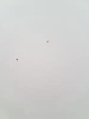 20191118_151846.webp