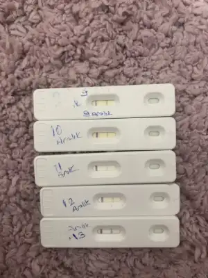 1989B685-4FE5-4CFC-99A4-92474975F5EA.webp