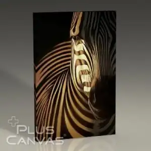 $zebra-closeup-tablo.webp
