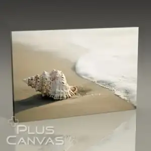 $seashell-on-the-beach-tablo.webp