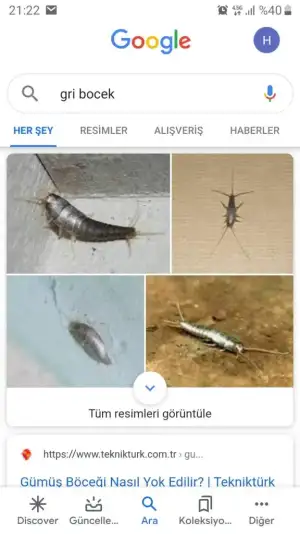 Screenshot_20200210-212259_Google.webp