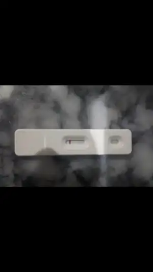 Screenshot_20200218-174125.webp