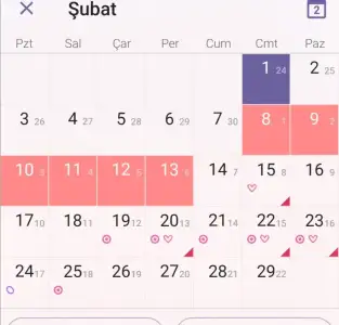 Screenshot_20200302_174200.webp
