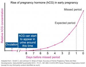 early_pregnancy_graph.jpg