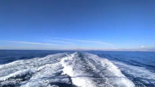 IMG-20200304-WA0006.webp